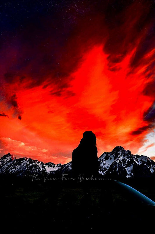 Gentry Fox Album The View From Nowhere Jigsaw Puzzle