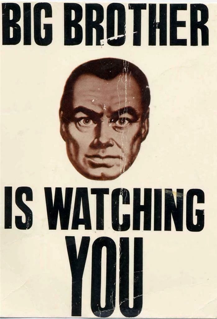George Orwell 1984 Book Big Brother Is Watching You Magnet Magnet Picture Print