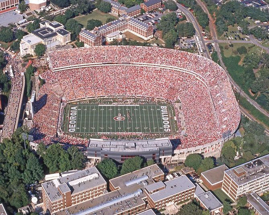 Georgia Bulldogs Sanford Stadium Glossy Keychain Field Keychain 3