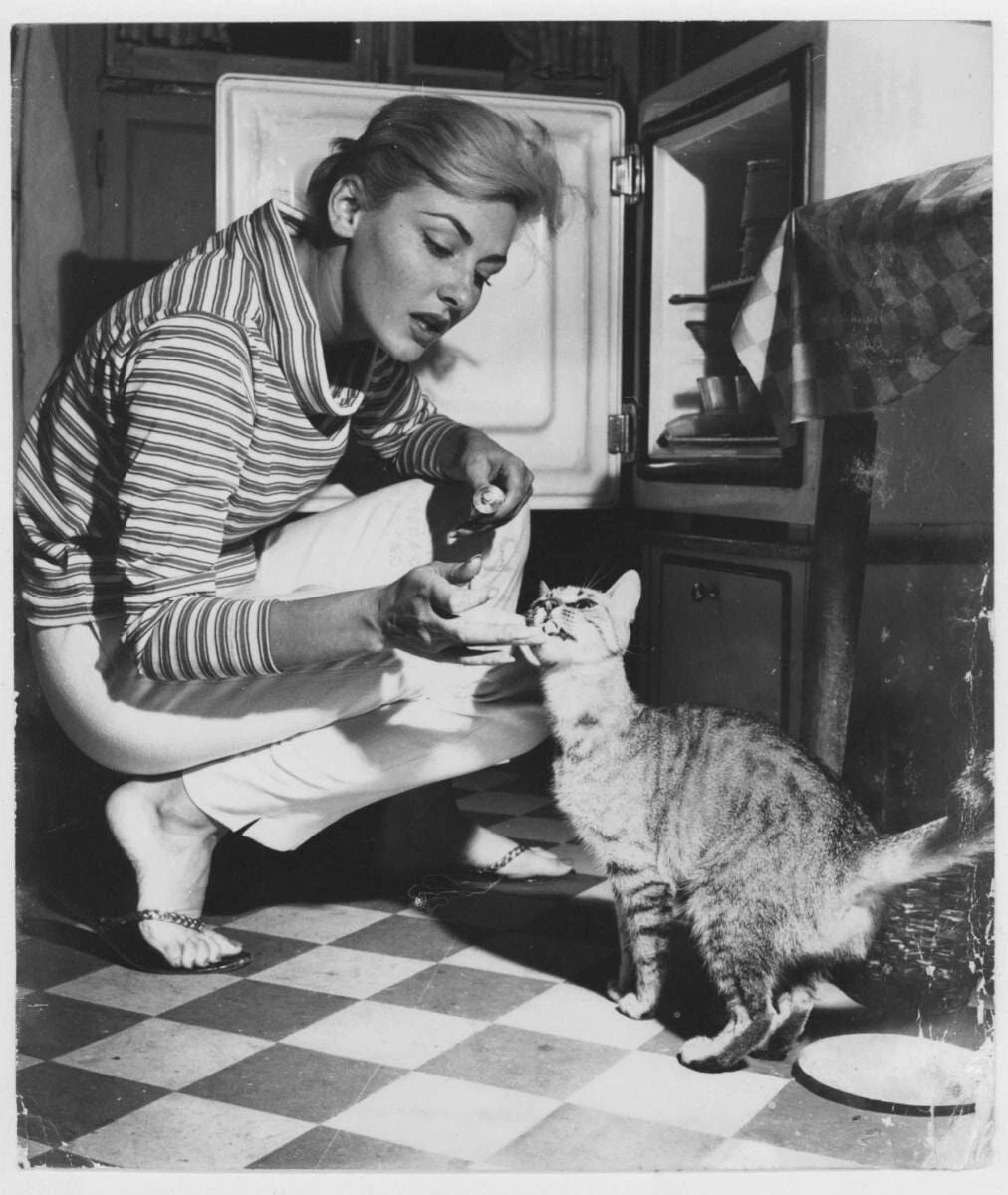 German Actress Elga Andersen & Cat Picture Photo Print