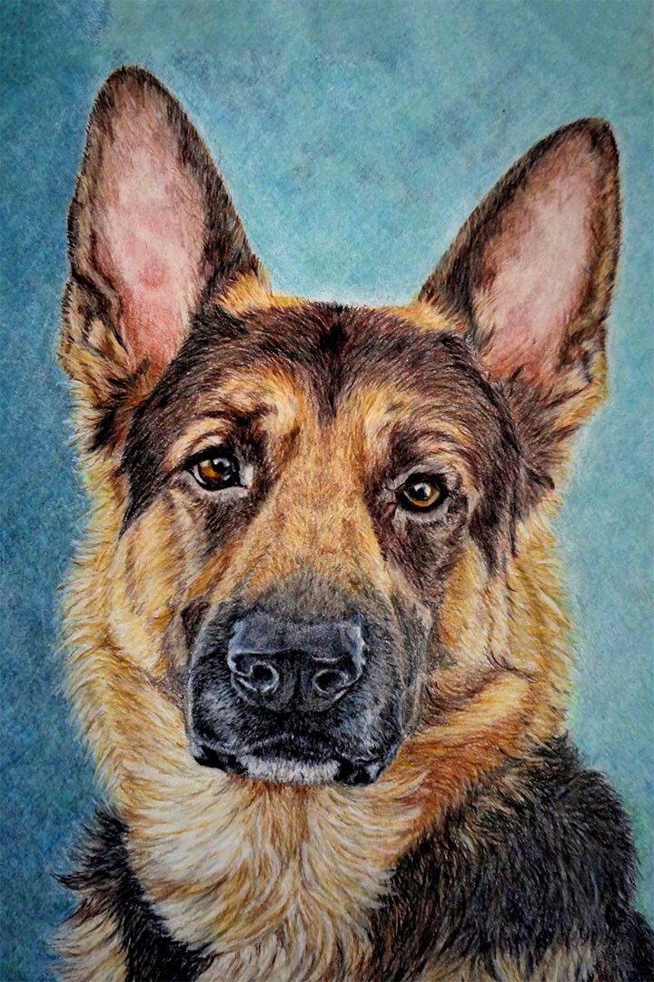 German Shepherd Dog Breed Originating In Germany Jigsaw Puzzle