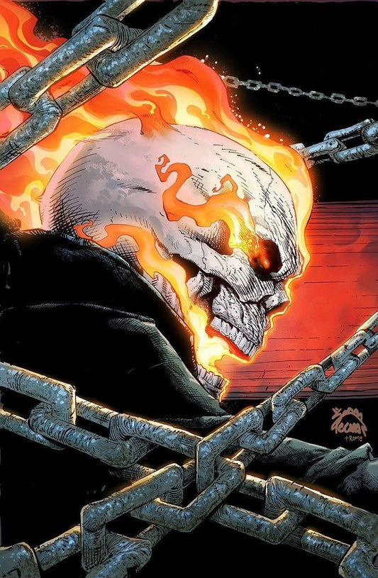 Ghost Rider Flaming Skull Artwork Print Poster