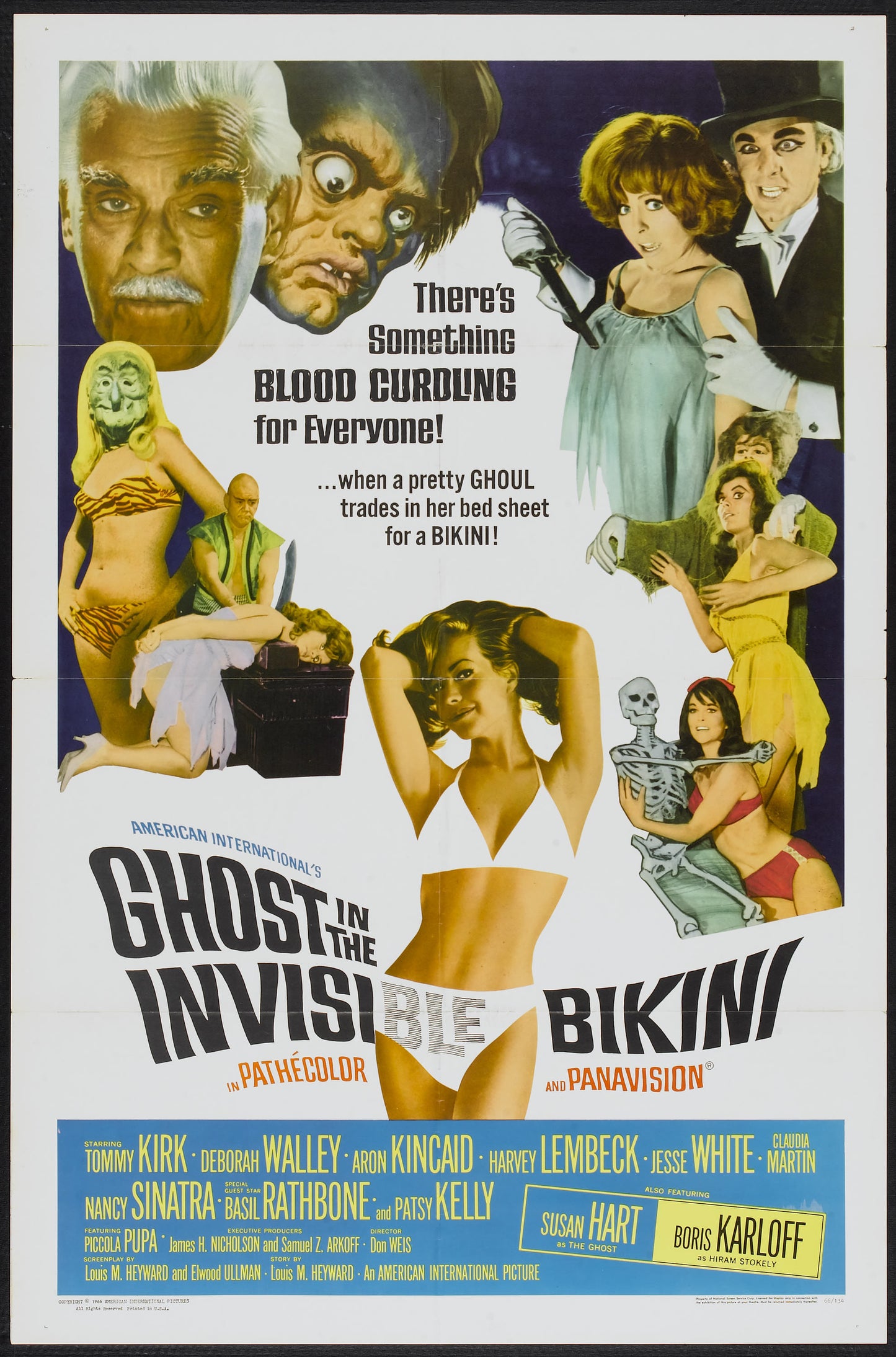 Ghost In Invisible Bikini 01 Movie Magnet