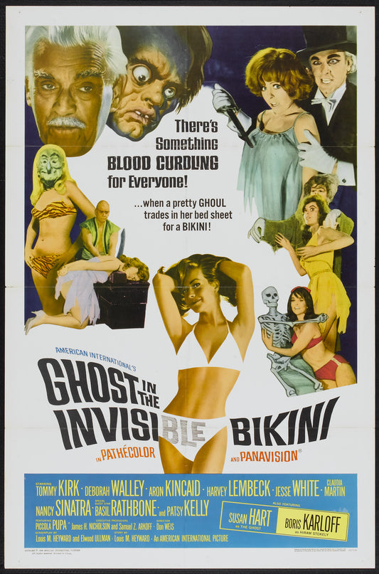 Ghost In Invisible Bikini 01 Movie Magnet