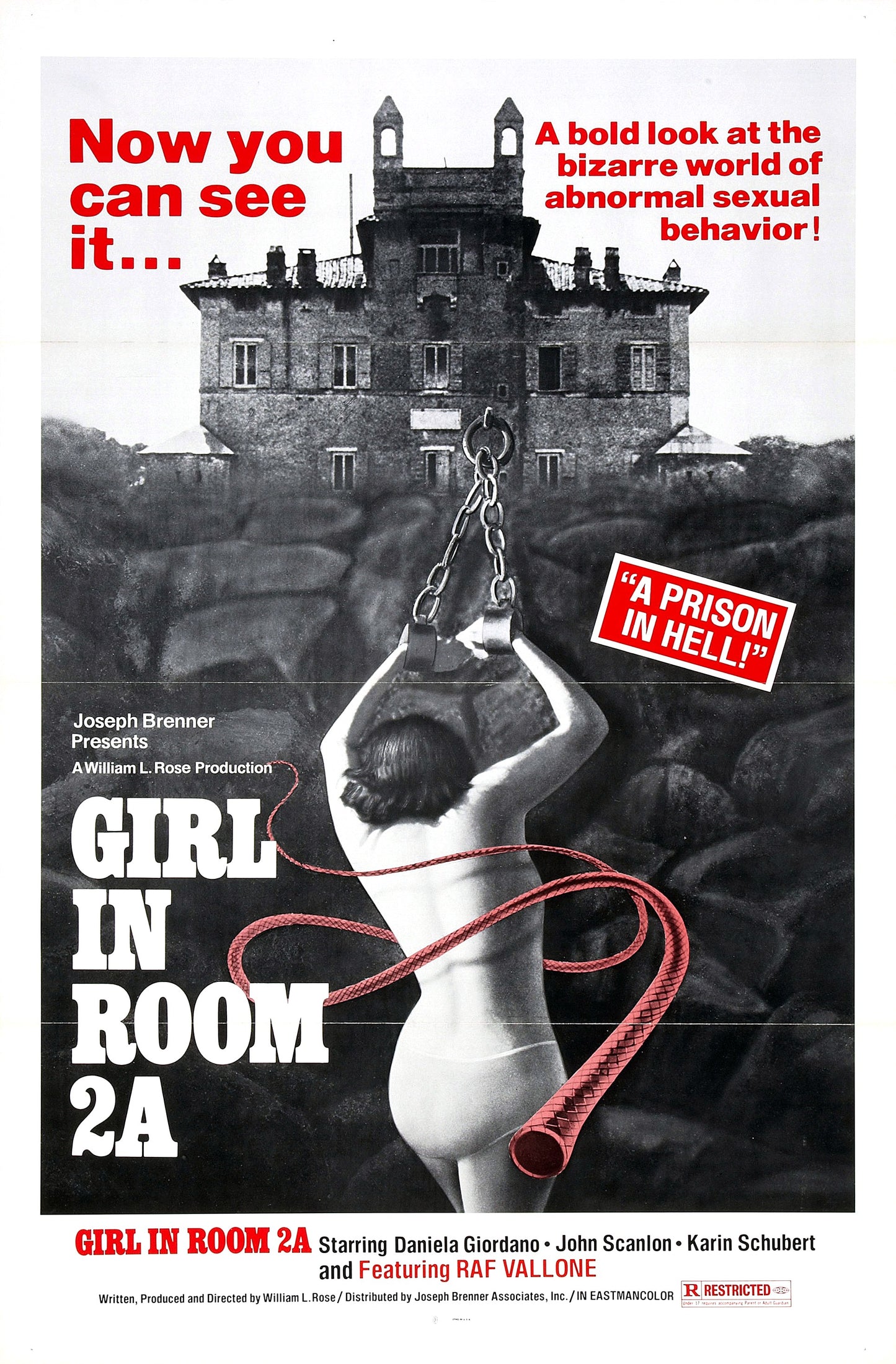 Girl In Room 2A 01 Movie Magnet