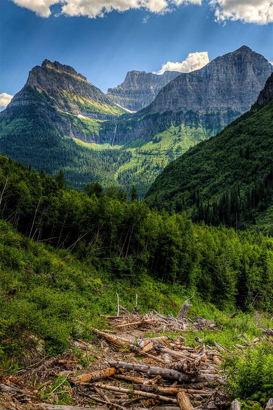Glacier National Park Montana History Mountain Picture Wall Decor Jigsaw Puzzle