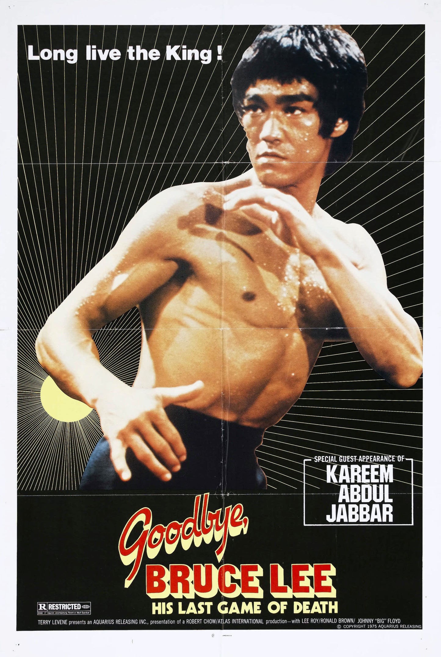 Goodbye Bruce Lee 02 Movie Magnet