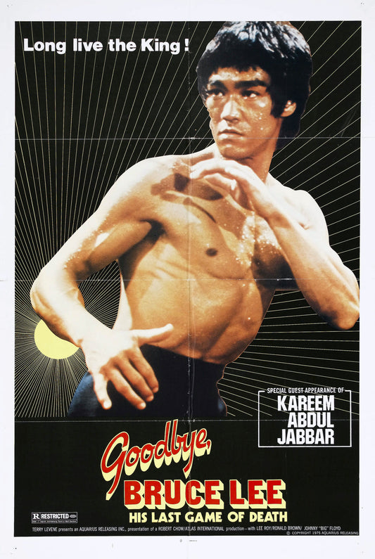 Goodbye Bruce Lee 02 Movie Magnet