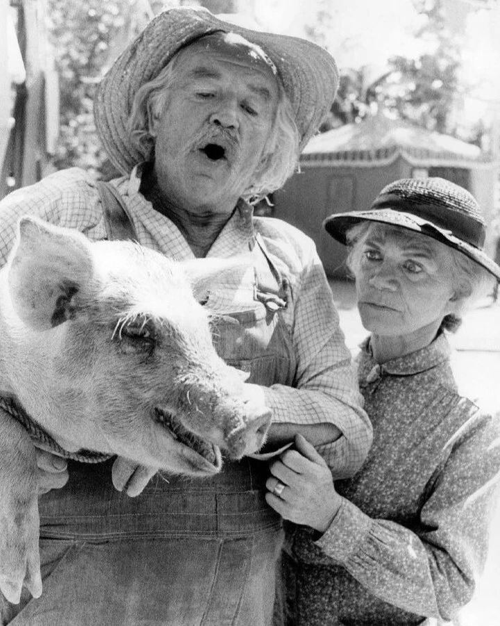 Grandma & Grandpa From Classic Tv Show The Waltons Picture Photo Print