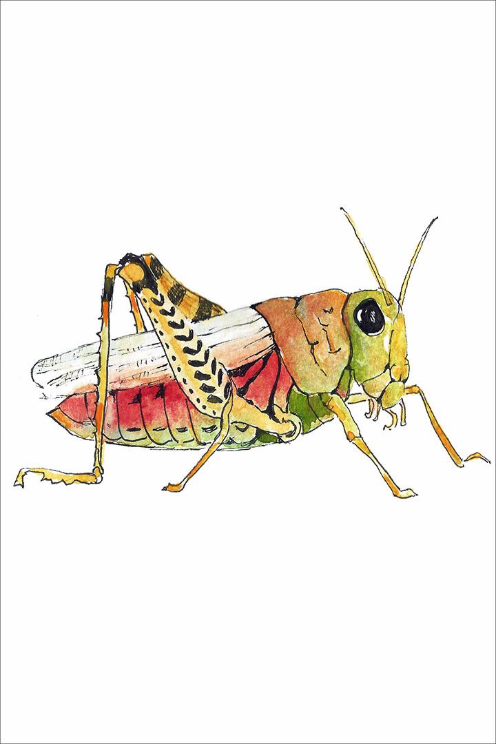 Grasshopper Bugs Design Fantasy Painting Jigsaw Puzzle