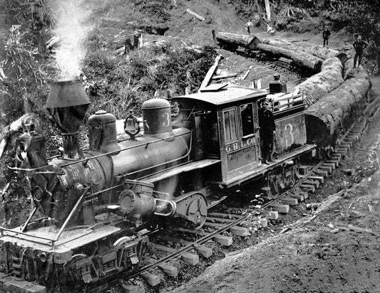 Grays Bay Logging Company Train Washinton Retro Picture Photo