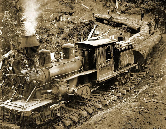 Grays Bay Logging Company Train Washinton Vintage Picture Photo