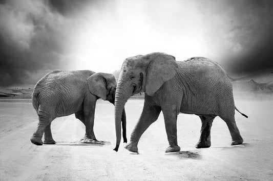 Grayscale Jigsaw Puzzle Of 2 Elephants Art Wall Decor Jigsaw Puzzle