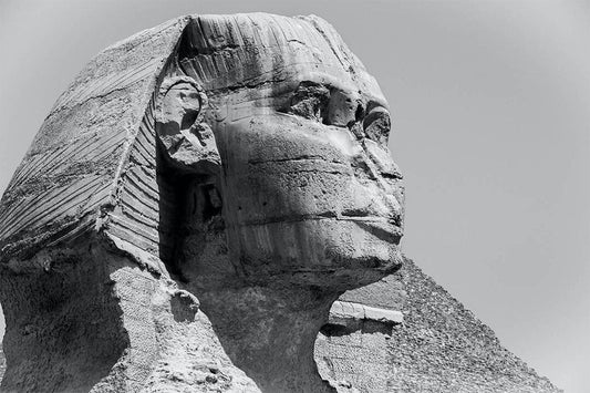 Grayscale Jigsaw Puzzle Of The Great Sphinx Of Giza Art Wall Decor Jigsaw Puzzle