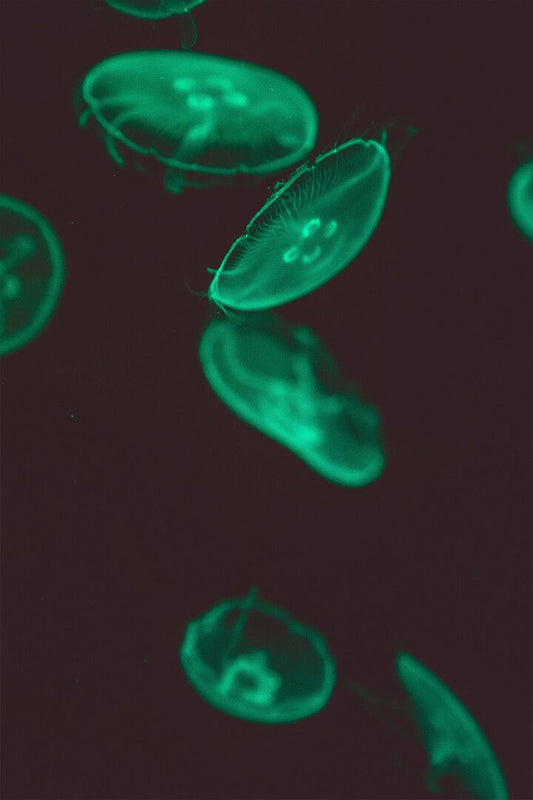 Green Jellyfishes Floating In Water Art Wall Decor Jigsaw Puzzle