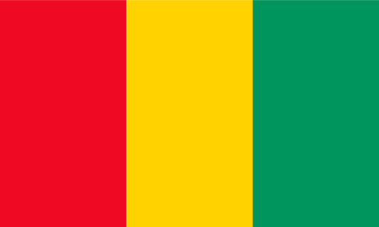 Guinea Flag Print Poster