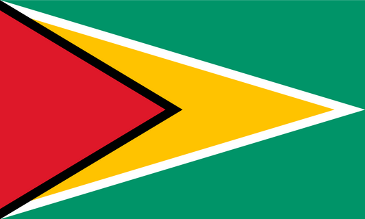 Guyana Flag Print Poster