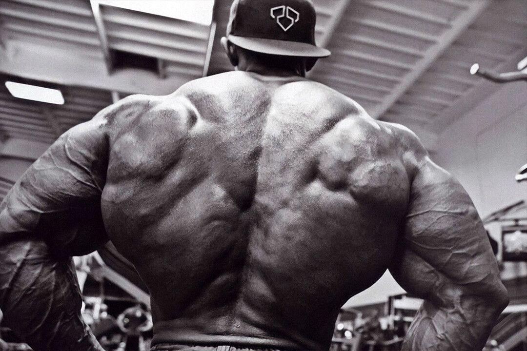Gym Body Building Keep Fit Muscle Exercise Jigsaw Puzzle