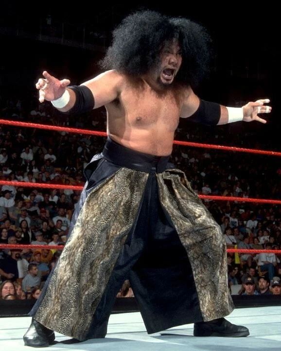 Haku Photo Wrestling Picture Wwf 300 Piece Jigsaw Puzzle