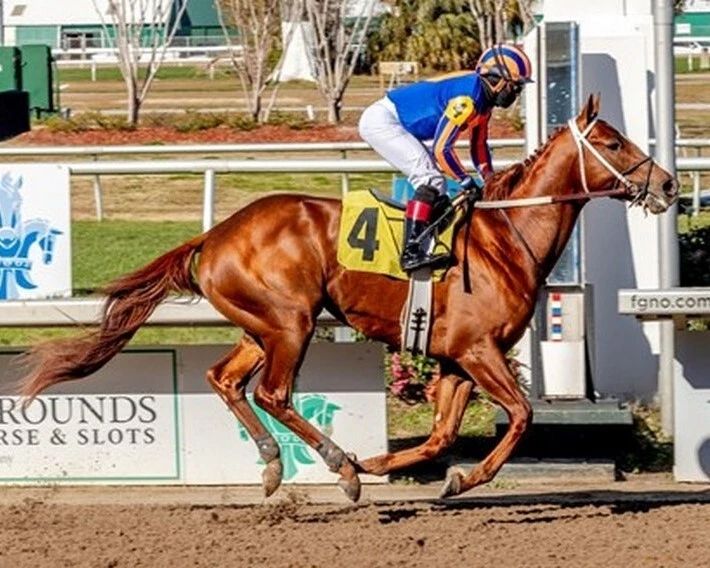 Hall Of Fame Magnet Horse Racing Picture Jockey