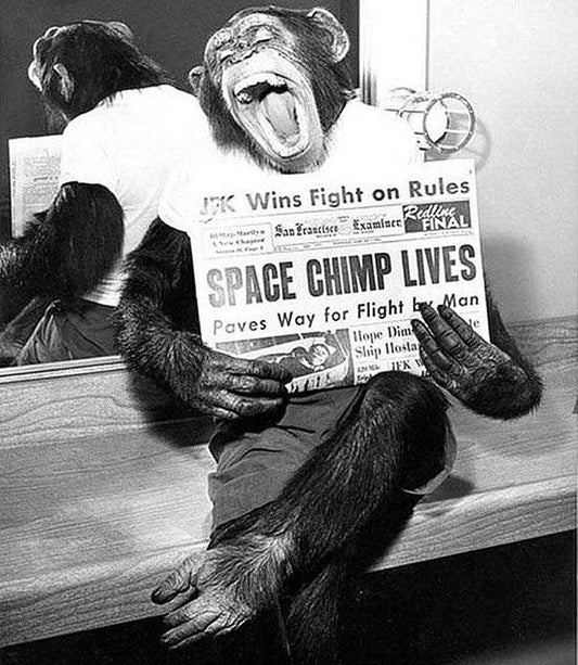 Ham The Astrochimp Nasa Astronaut Chimpanzee Monkey Picture Magnet Print