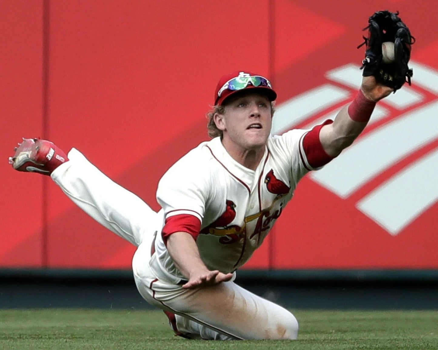 Harrison Bader Magnet St. Louis Cardinals Baseball Picture Mlb