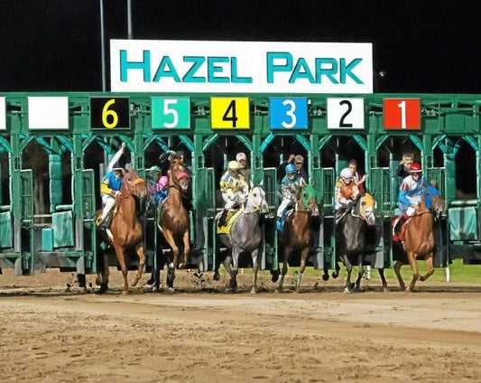 Hazel Park Racetrack Keychain Horse Racing Picture Michigan Race Course
