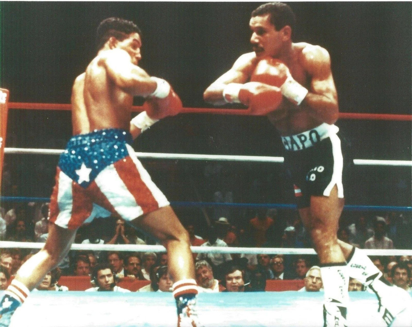 Hector Macho Camacho Vs Edwin Rosario Magnet Boxing Picture
