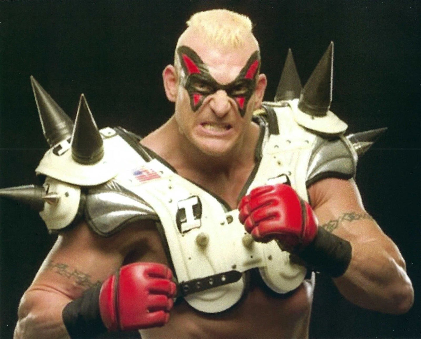 Heidenreich Photo Wrestling Picture Wwe 300 Piece Jigsaw Puzzle