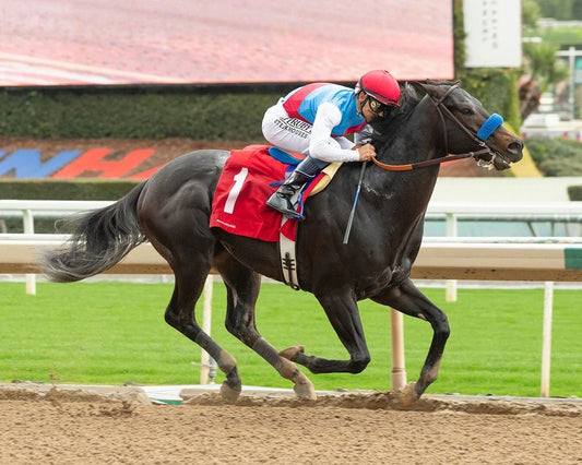 Hejazi Magnet Horse Racing Picture