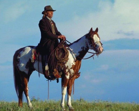 Hidalgo Photo Movies Picture