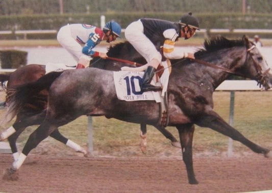 Holy Bull Vs Cigar Magnet Horse Racing Picture Jockey