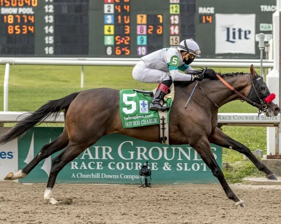 Hot Rod Charlie Photo Horse Racing Picture