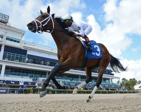 Hot Rod Charlie Magnet Horse Racing Picture Race Action