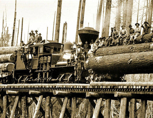 Hamilton Logging Company Train Hamilton Washington Old Photo Reprint