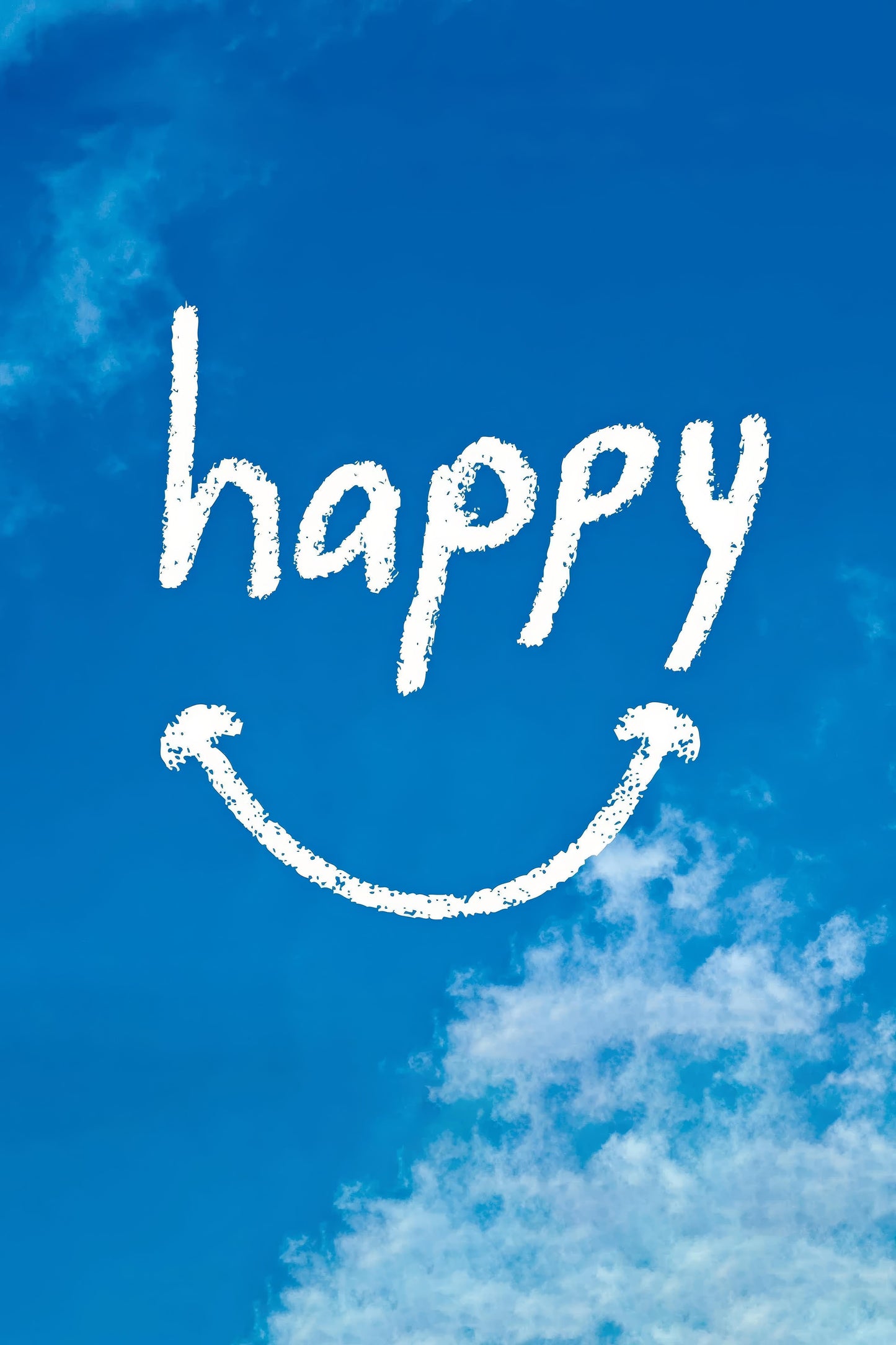 Happy (2012) Movie Magnet