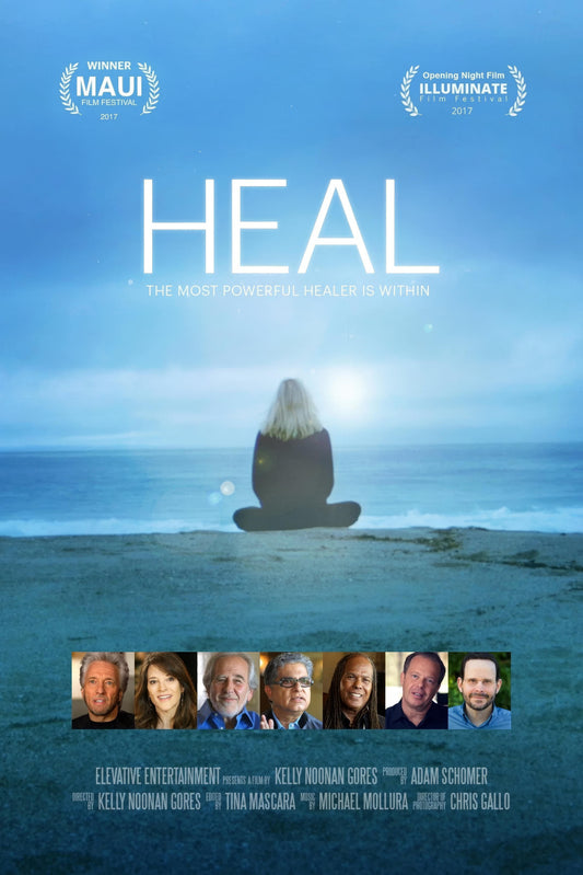 Heal (2017) Movie Magnet