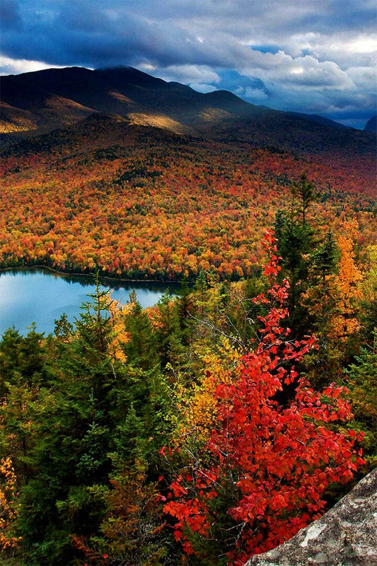 Heart Lake In The Adirondack Mountains Painting Wall Home Decor Jigsaw Puzzle