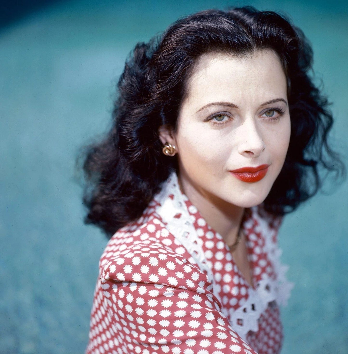 Hedy Lamarr Hollywood Actress Publicity Picture Magnet Magnet Print