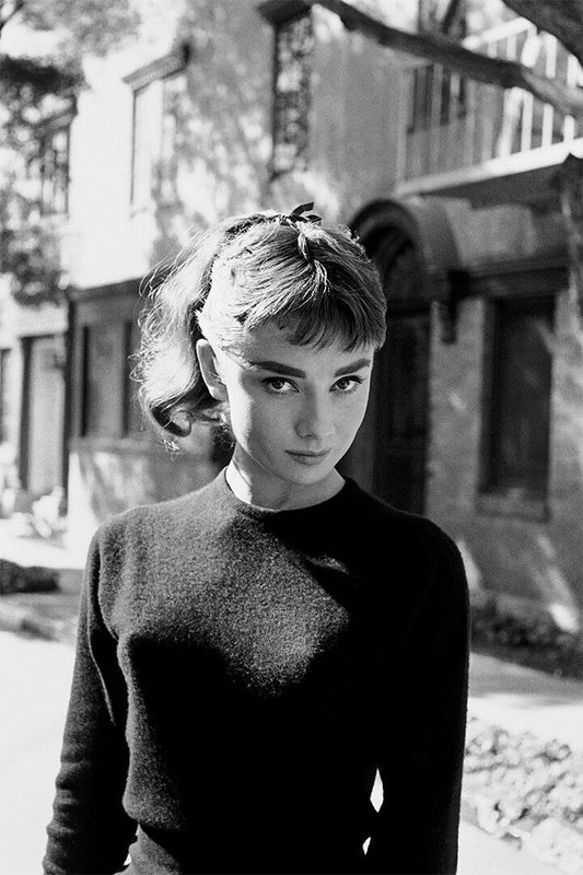 Hepburn Audrey Actres Icon Charitable Jigsaw Puzzle