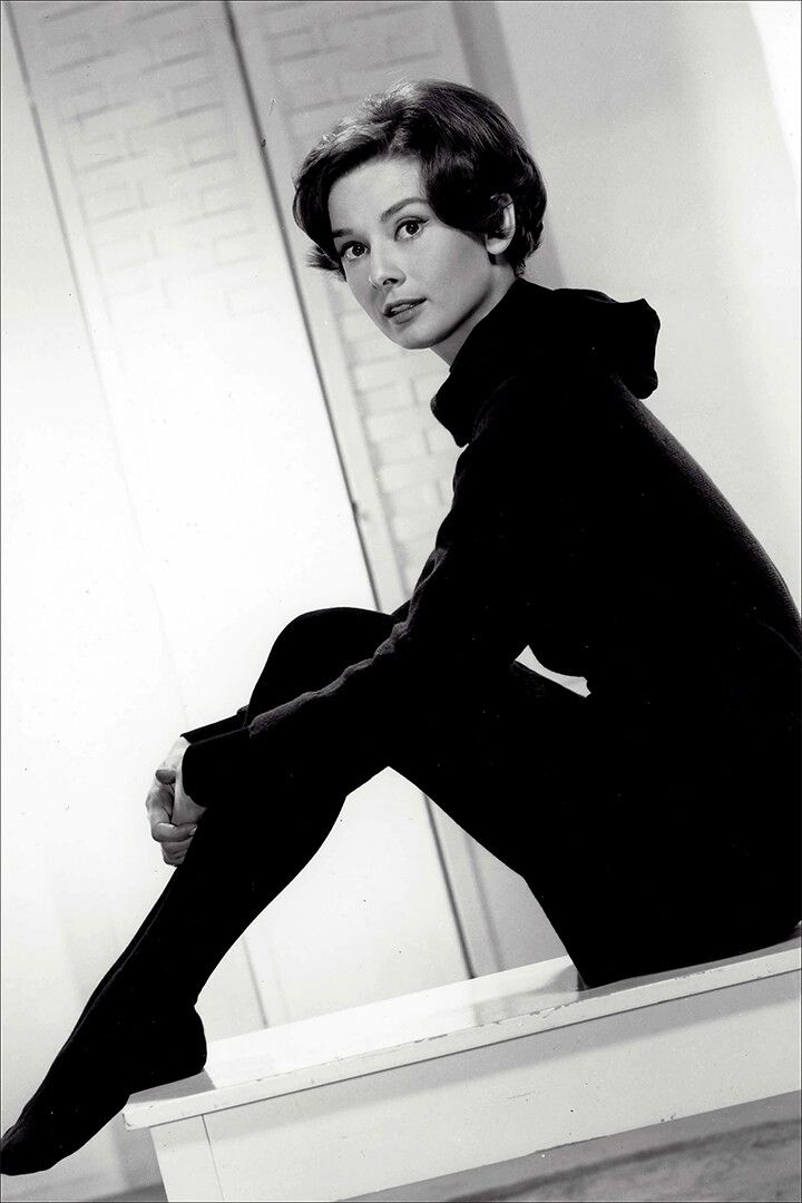 Hepburn Audrey Actress Charitable Fashion Model Print Wall Art Poster