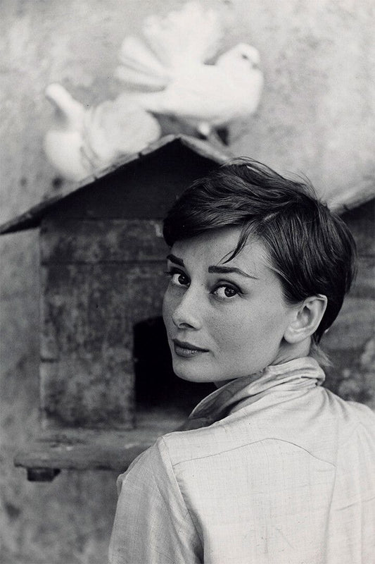 Hepburn Audrey Actress Charitable Painting Print Jigsaw Puzzle