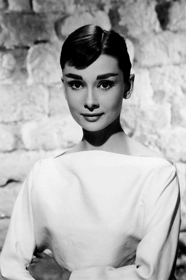 Hepburn Audrey Charitable Actress Print Jigsaw Puzzle