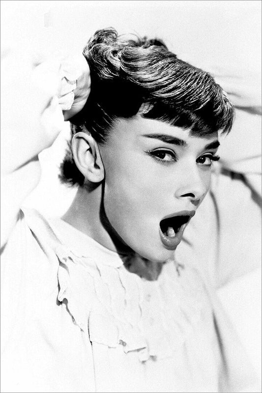 Hepburn Audrey Fashion Actor Charitable Painting Print Jigsaw Puzzle