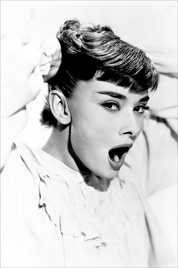 Hepburn Audrey Fashion Actor Charitable Painting Print Magnet