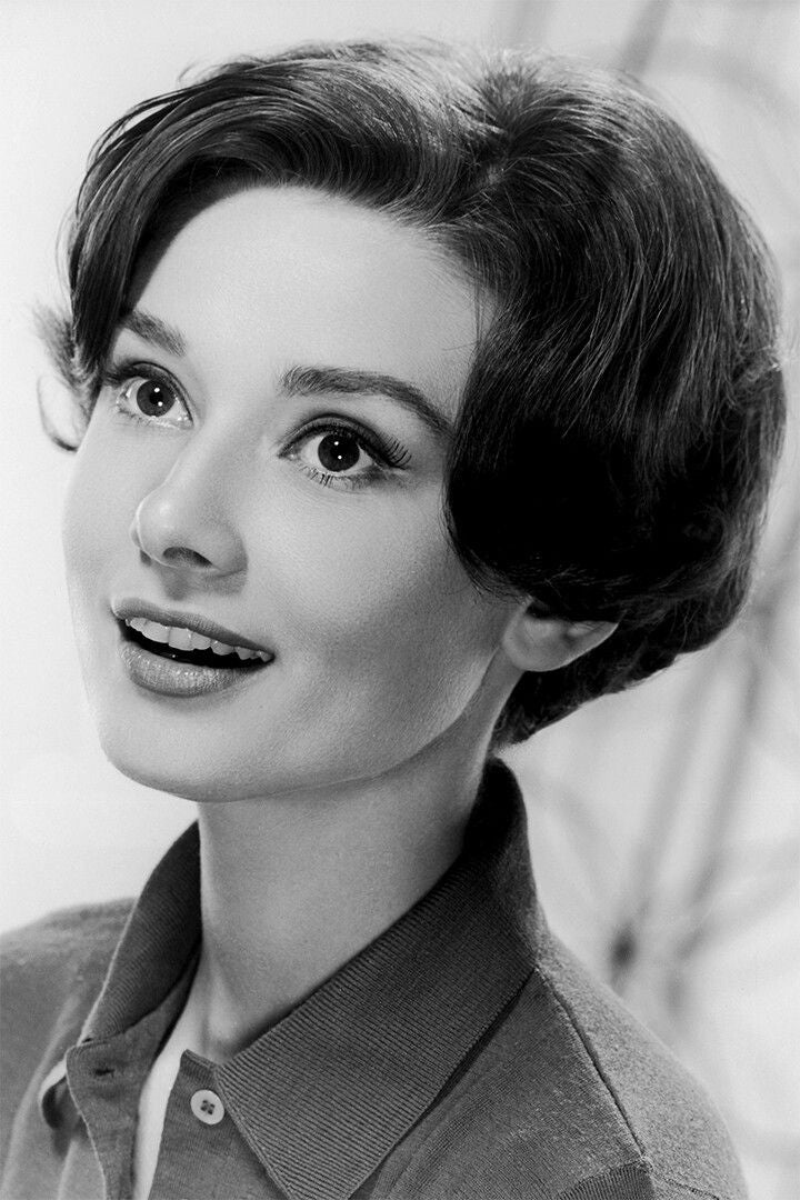 Hepburn Audrey Model Philanthropist Print Jigsaw Puzzle