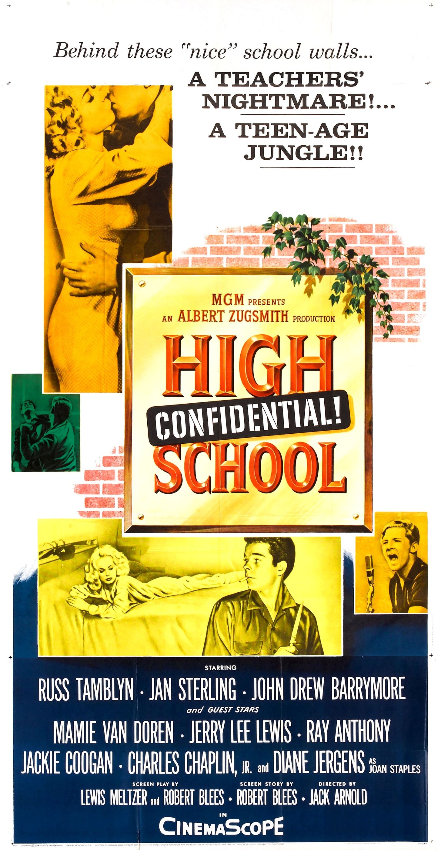 High School Confidential 02 Movie Magnet