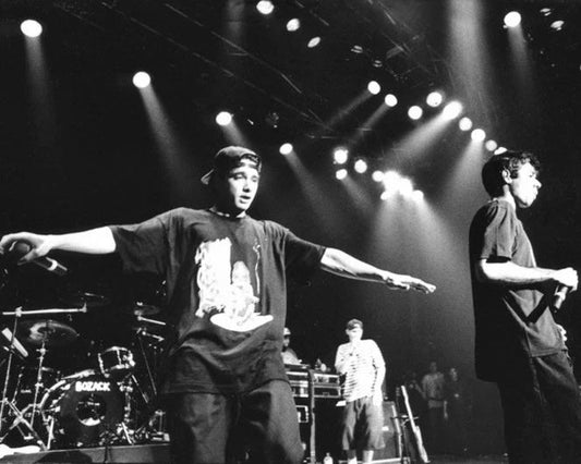 Hip Hop Band Beastie Boys Glossy Photo Musical Group Print Mike D Poster 1