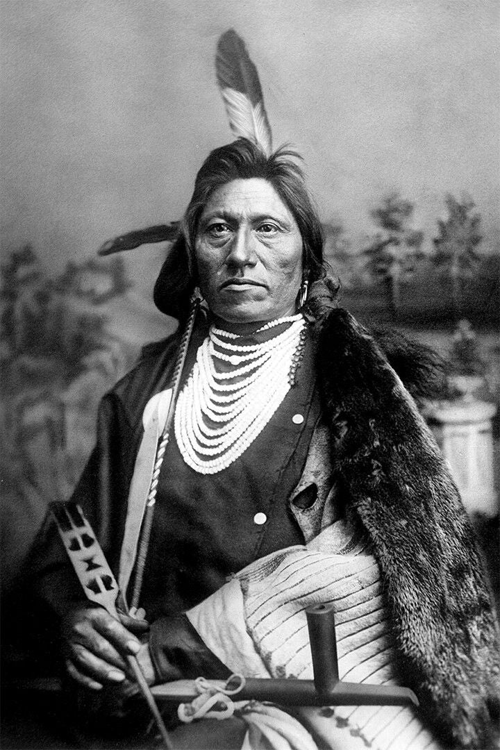 Historical Indian American Chief Print Jigsaw Puzzle