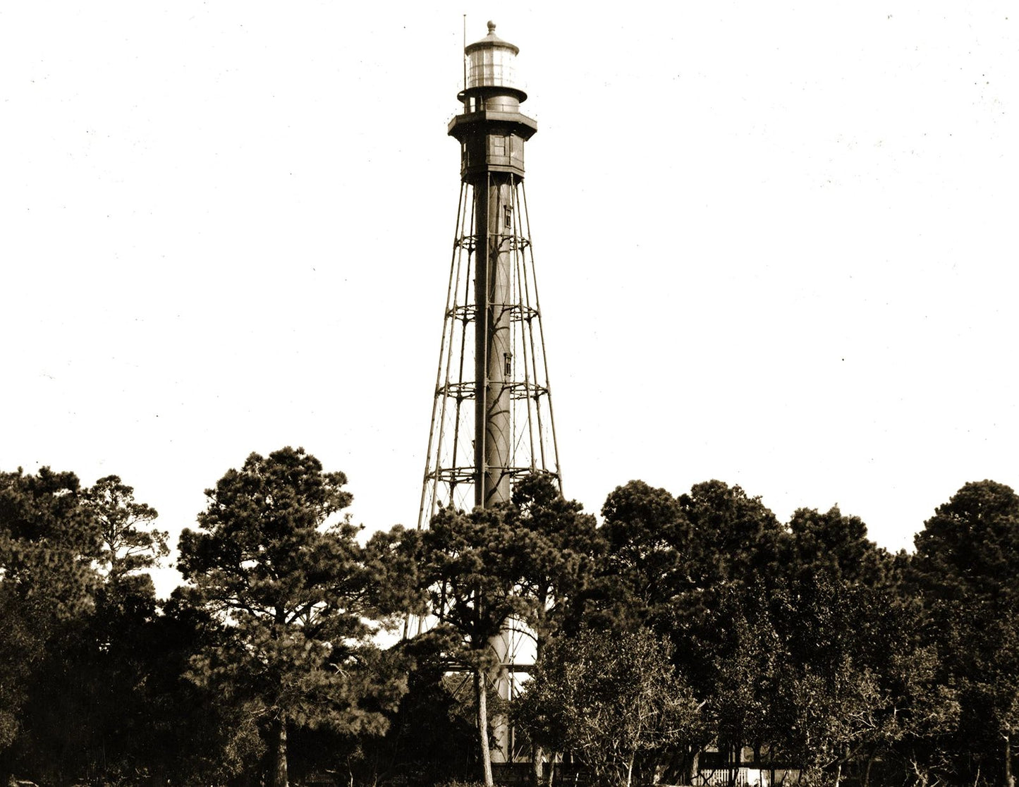 Hog Island Lighthouse Virginia Retro Old Photo Reprint